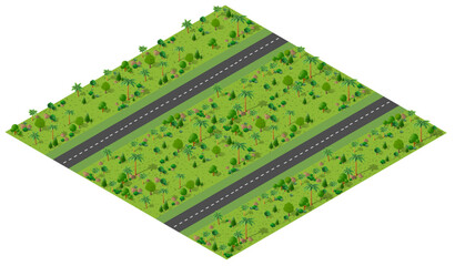 Isometric 3d illustration park trees forest nature elements