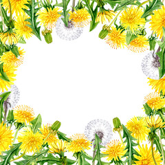 Obraz premium Square Card with Dandelions all around