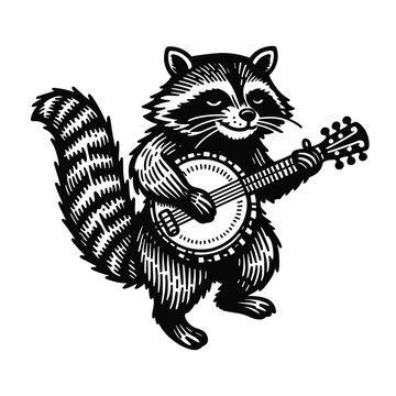 raccoon playing banjo illustration