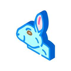 rabbit animal isometric icon vector. rabbit animal sign. isolated symbol illustration