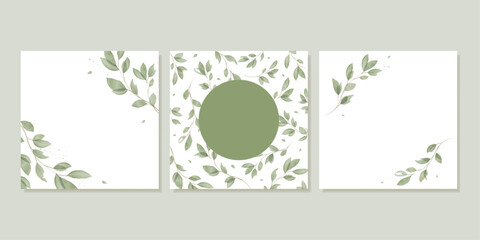 3 Square Templates For Social Media Posts. Botanical Backgrounds Without Text. Vector