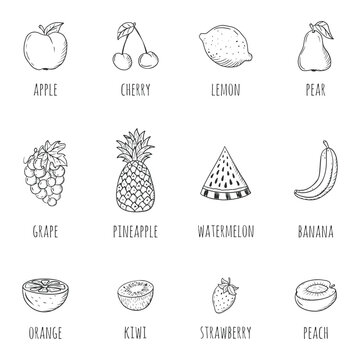 A beautiful set of handdrawn fruit icons in line art style, featuring various fruits in a circle pattern on a white background. This illustration showcases exquisite artwork and organic forms