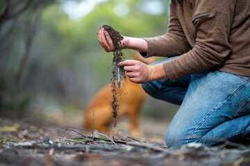 farmer hold soil in hands monitoring soil health on a farmin america