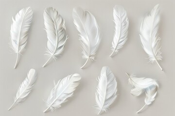 Fototapeta na wymiar Set of pristine white feathers neatly aligned on a grey background. Serene and orderly feather arrangement