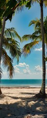 A tranquil beach scene featuring palm trees, clear skies and a calm sea under a bright sun.