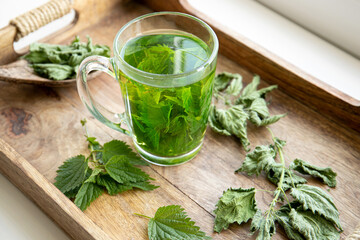 Herbal tea made of dry Urtica dioica, known as common nettle, burn nettle or stinging nettle leaves in clear glass cup. In home kitchen by the window. - obrazy, fototapety, plakaty