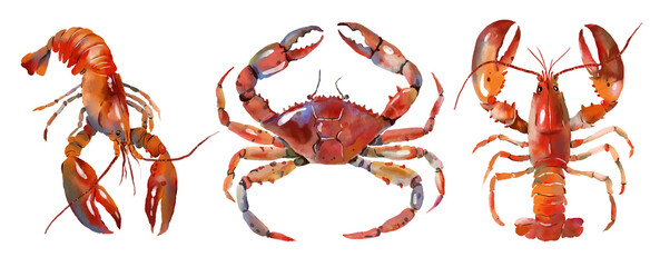Hand-painted digital watercolor crustaceans. Food illustration.