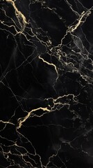 Elegant Black Marble Texture with Intricate Gold Veins