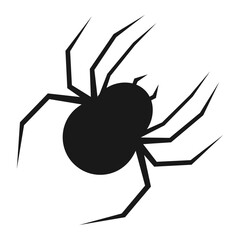 Black spider silhouette, close up spider, isolated scary big spider, poisonous insect, arachnophobia background, spider vector icon