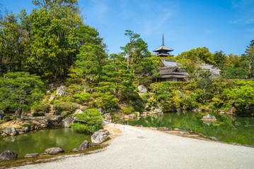 Five storied pagoda of Ninnaji temple in Kyoto, Kansai, Japan