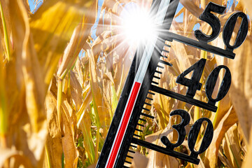 thermometer shows hight temperature and lack of water - obrazy, fototapety, plakaty