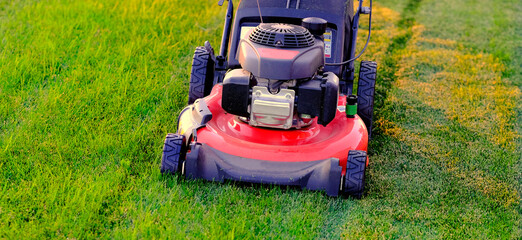 Red Lawn Mower in Lush Green Grass Mowing Lawn - 792938532