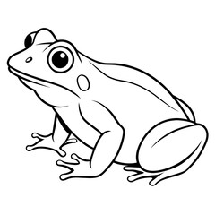 frog on white background