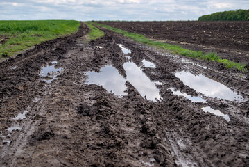 Mud and puddles on a dirt road after rain