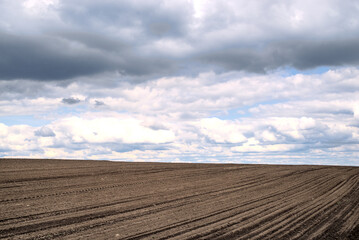 Photo of plowed field after rain
