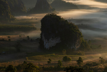 Sunrise with fog and mist at Phu Langka mountains in Northern Thailand, Mountain View of Phu Lanka