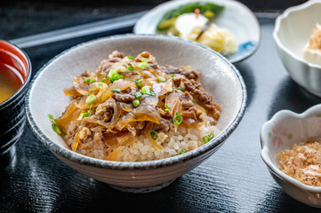 A delicious Japanese dish of thinly sliced beef and onions simmered in a sweet and savory sauce,...
