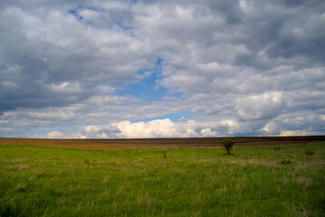 Meadow, plowed field and cloudy sky