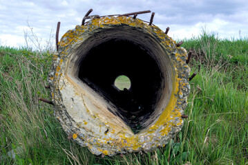 Big old concrete pipe lies among green grass
