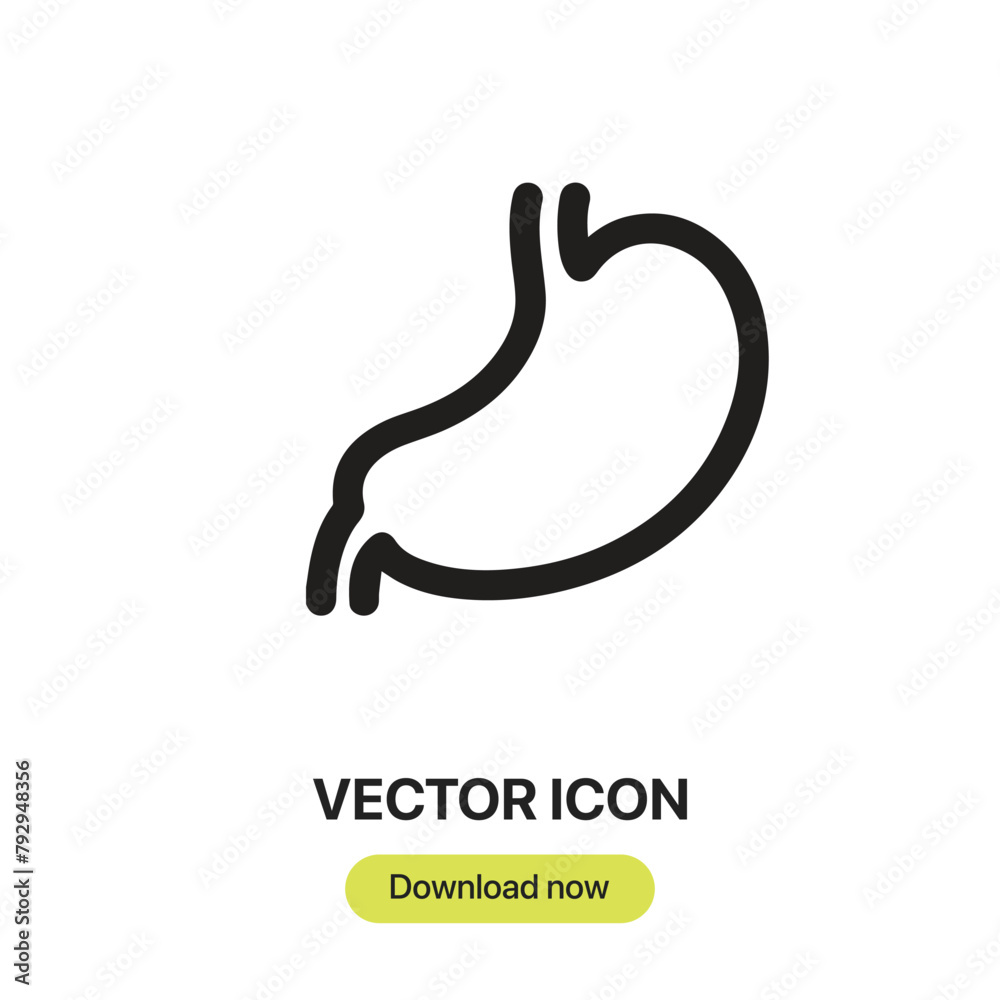 Fototapete stomach icon vector. linear-style sign for mobile concept and web design. stomach symbol illustratio