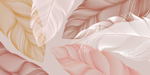 Set of colorful big feathers. Elegant soft colors. Background, wallpaper in line style