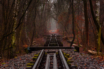 An old dilapidated railway line that leads through a forest, dark, mystical, autumn