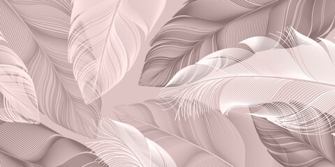 Set of colorful big feathers. Elegant soft colors. Background, wallpaper in line style