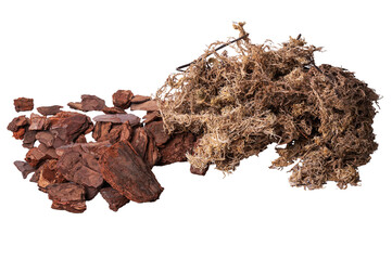 Pieces of pine bark and sphagnum moss - components of the substrate for growing orchids isolated on a white background.