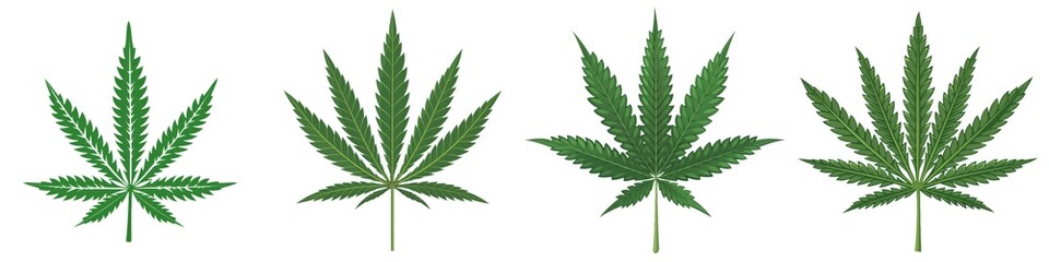 Drug legalization background illustration - Set collection of marijuana leaf, cannabis plant, isolated on white background banner panorama