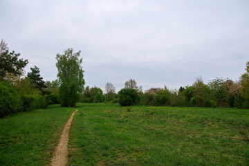 Hiking trail in the Dürrenast heathland in the city forest of the Fugger city of Augsburg
