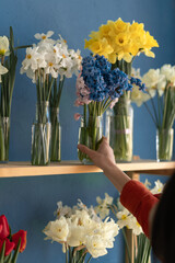 Female florist arranging flowers hyacinth in glass vase while creating in her flower shop.