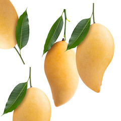 mango transparent background
