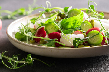 Fresh spring salad with red radish, cucumber,aromatic herbs and olive oil on black stone table...