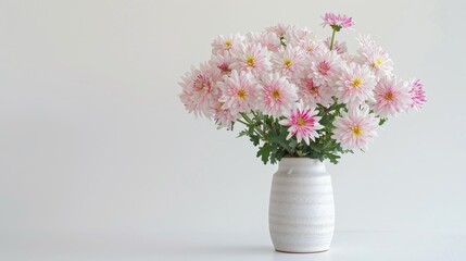 Chrysanthemums blossoms arranged in a ceramic vase stand out against a pristine white backdrop