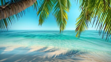 An illustration of a beach with palm trees. The water is a beautiful blue and the sand is white and pristine. The sun is shining and there are no people on the beach.