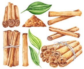 Cinnamon sticks and leaves watercolour illustration 