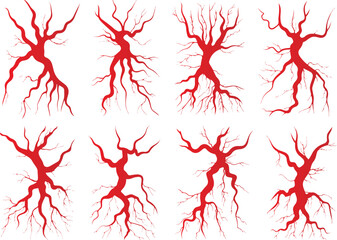 Vector illustration of human vascular system: Detailed depiction of arteries, veins, and capillaries with heart and eye, showcasing blood circulation and varicose veins