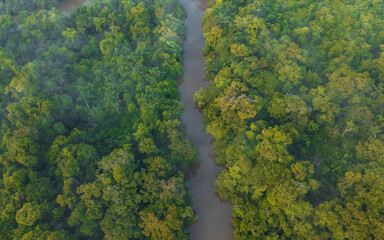 TAHUAYO RIVER IN THE TOWN OF LORETO IN THE PERUVIAN AMAZON, THE TAHUAYO IS AN AREA WITH HIGH...