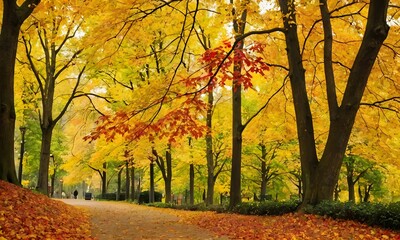Beautiful yellow red and orange leaves in an autumn park