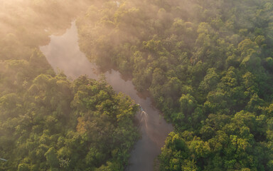 TAHUAYO RIVER IN THE TOWN OF LORETO IN THE PERUVIAN AMAZON, THE TAHUAYO IS AN AREA WITH HIGH BIODIVERSITY, ABUNDANT EXOTIC WILDLIFE, THE TAHUAYO RIVER TOURIST ATTRACTION, TAHUAYO TOURISM IN AMAZON