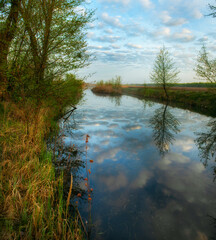 Spring river. reflection of clouds in water. Vertical panorama