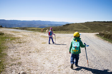 children walking through the mountains with their dogs with their backpack, hiking stick and sun hat