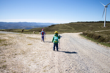 children walking through the mountains with their dogs with their backpack, hiking stick and sun hat