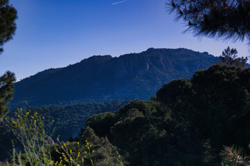 landscape, mountains, view, plants, trees, outdoors, sunny, spri