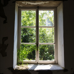 Fototapeta premium a window, looking in from the outside, looking straiight at the window