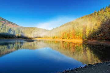 autumn landscape of synevyr national park with lake. sunny morning with blue sky and mist above the water surface. stunning travel destination of carpathian mountains, ukraine