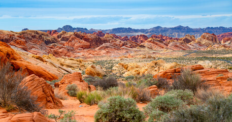 Valley of Fire State Park wide angle panorama. Public nature preservation area south of Overton, Nevada (USA) in Mojave Desert, near Las Vegas. Scenic road in colorful red sandstone scenery and plants