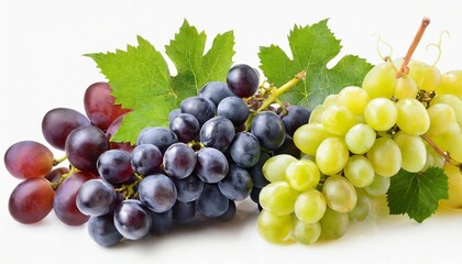 Fototapeta premium Set of grapes of different varieties and colors isolated on a white background.