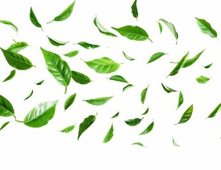 A white background with green leaves flying in the air