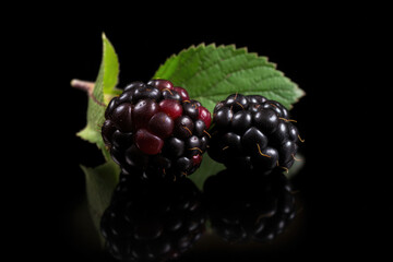 Two black ripe fresh blackberry macro with blackberry leaf on black background with reflection. Organic farm food, fresh market, healthy products.